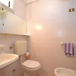 Cinzia * Бібіоне